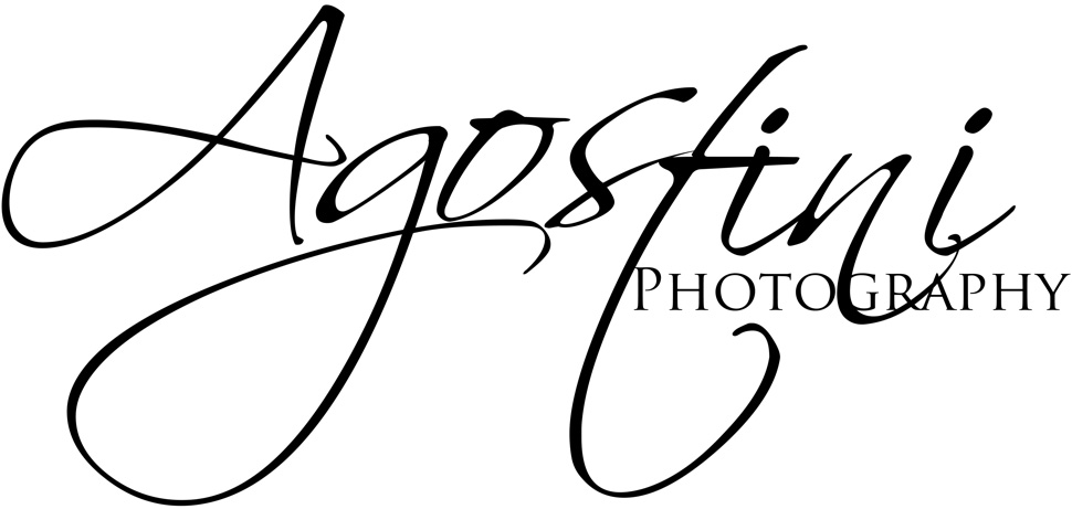 pj agostini logo
